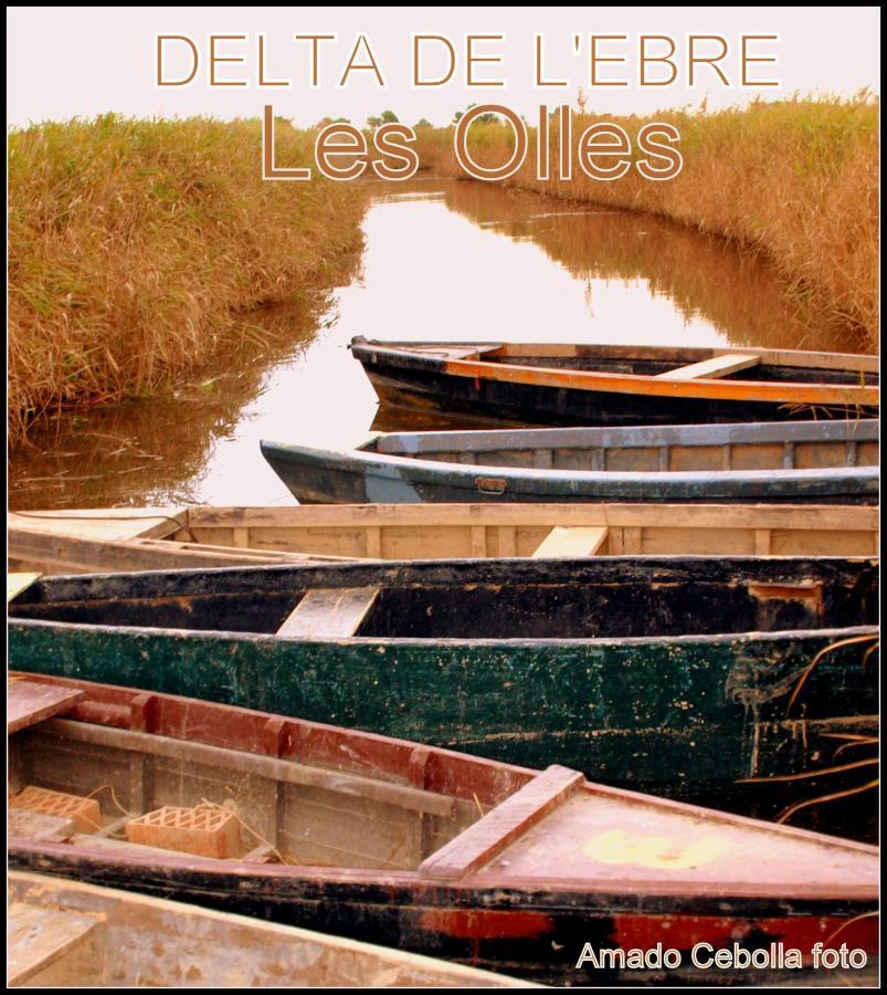 Villa Paquita Loft Deltebre Dış mekan fotoğraf
